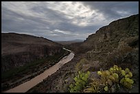 The Rio Grande winds through Hot Springs Canyon at dusk, with prickly pear cactus clinging to the rocky rim. Big Bend National Park ( color)