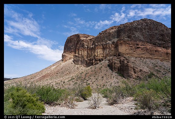 Volcanic cliffs rise steeply above a sparsely vegetated wash under a bright desert sky. Big Bend National Park (color)