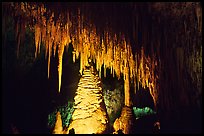 Stalactites and columns in big room. Carlsbad Caverns National Park, New Mexico, USA. (color)