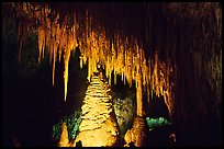 Stalactites and columns in big room. Carlsbad Caverns National Park, New Mexico, USA.