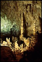 Stalacmites in Big Room. Carlsbad Caverns National Park, New Mexico, USA.