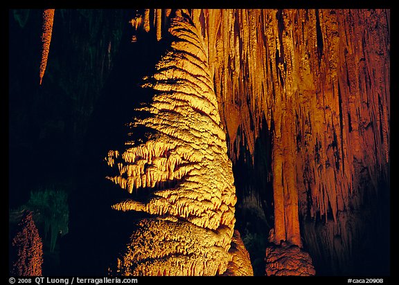 Large stalagmite column and thin stalagtites. Carlsbad Caverns National Park, New Mexico, USA.