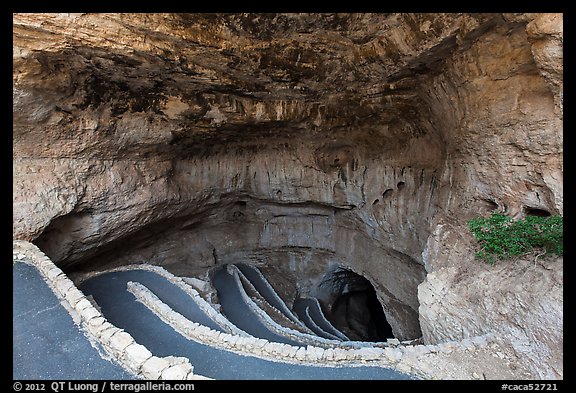 Natural entrance walkway. Carlsbad Caverns National Park (color)