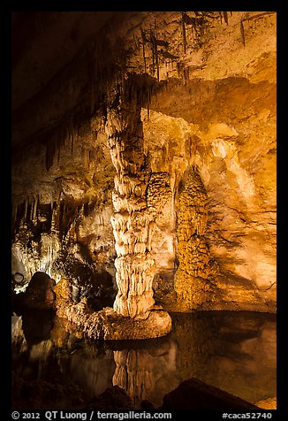 Column in Devils Spring. Carlsbad Caverns National Park, New Mexico, USA.