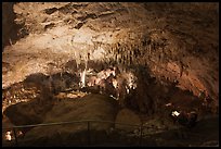 Tourists looking at Green Lake room from above. Carlsbad Caverns National Park, New Mexico, USA. (color)