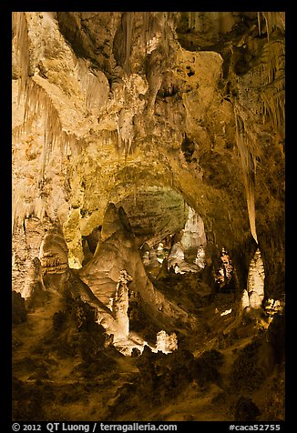 Massive speleotherms. Carlsbad Caverns National Park, New Mexico, USA.