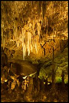 Chandelier and tall stalagmites, Big Room. Carlsbad Caverns National Park, New Mexico, USA. (color)