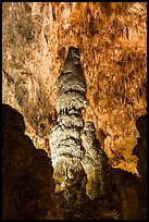 Massive stalagmites and delicate stalagtites, Big Room. Carlsbad Caverns National Park, New Mexico, USA. (color)