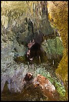 Lower Cave seen from jumping off place. Carlsbad Caverns National Park, New Mexico, USA. (color)