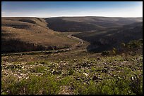 Walnut Canyon and road from above. Carlsbad Caverns National Park, New Mexico, USA. (color)