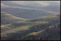 Desert ridges. Carlsbad Caverns National Park ( color)