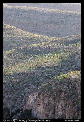 Ridges with desert vegetation. Carlsbad Caverns National Park (color)