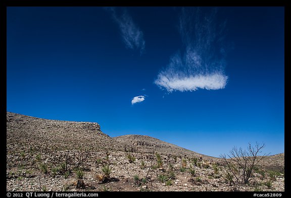 Cloud and blue skies above burned desert. Carlsbad Caverns National Park (color)