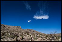 Cloud and blue skies above burned desert. Carlsbad Caverns National Park, New Mexico, USA. (color)