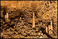 Stalagmite and cave popcorn. Carlsbad Caverns National Park, New Mexico, USA. (color)