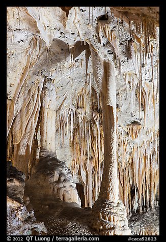 Delicate stalagtites with iron oxide staining in Painted Grotto. Carlsbad Caverns National Park (color)