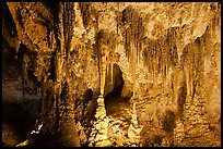 Pinnacles and columns, some shaped like pagoda spires. Carlsbad Caverns National Park, New Mexico, USA. (color)