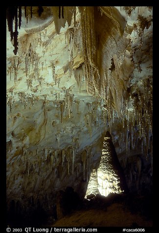 Delicate stalactites in Papoose Room. Carlsbad Caverns National Park (color)