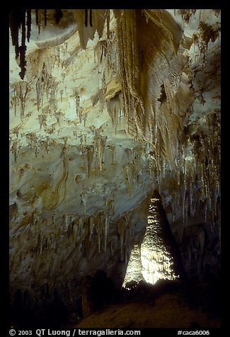 Delicate stalactites in Papoose Room. Carlsbad Caverns National Park, New Mexico, USA.