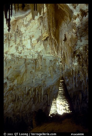 Delicate stalactites in Papoose Room. Carlsbad Caverns National Park, New Mexico, USA.