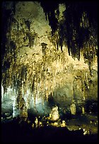 Fine Stalactites growing from ceiling of Papoose Room. Carlsbad Caverns National Park, New Mexico, USA.