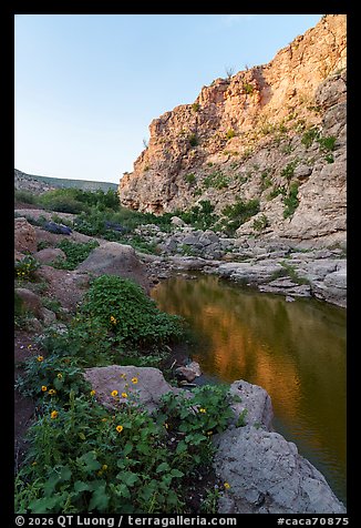 A narrow canyon of orange rock rises above a tranquil stream lined with wildflowers. Carlsbad Caverns National Park (color)