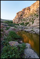 A narrow canyon of orange rock rises above a tranquil stream lined with wildflowers. Carlsbad Caverns National Park ( color)