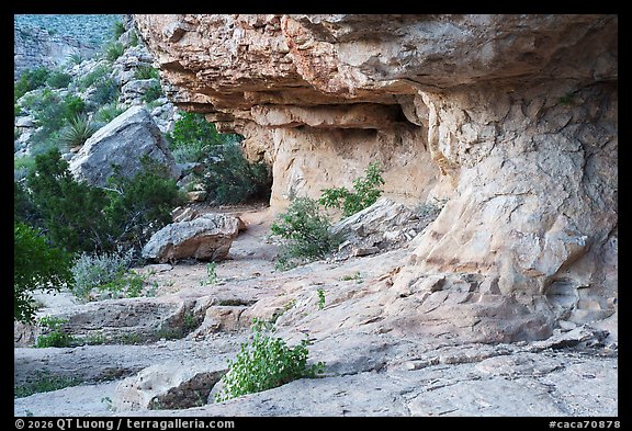 Weathered limestone overhangs form a shallow rock shelter above scattered shrubs and boulders. Carlsbad Caverns National Park (color)