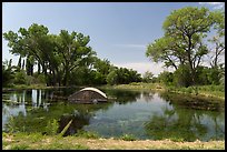 Curved concrete pumphouse rising from a green Rattlesnake Springs pool beneath cottonwoods. Carlsbad Caverns National Park ( color)