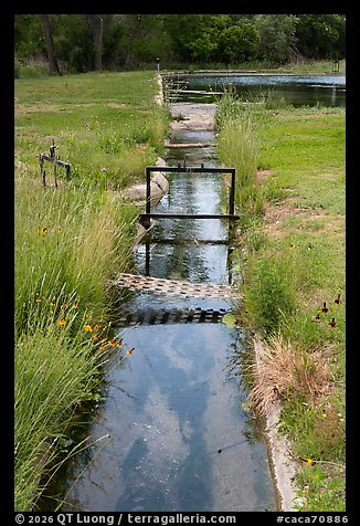 Channel carrying spring water past grasses and wildflowers through the historic farmstead of Rattlesnake Springs. Carlsbad Caverns National Park (color)