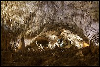Dense forest of stalactites and stalagmites filling an immense underground chamber, Big Room. Carlsbad Caverns National Park ( color)