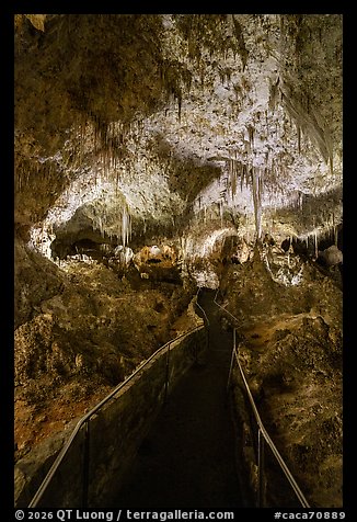 Narrow paved trail winding through a corridor of dripping limestone formations, Big Room. Carlsbad Caverns National Park (color)