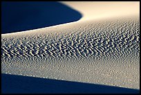 Sand patterns in Mesquite Sand dunes, early morning. Death Valley National Park, California, USA.