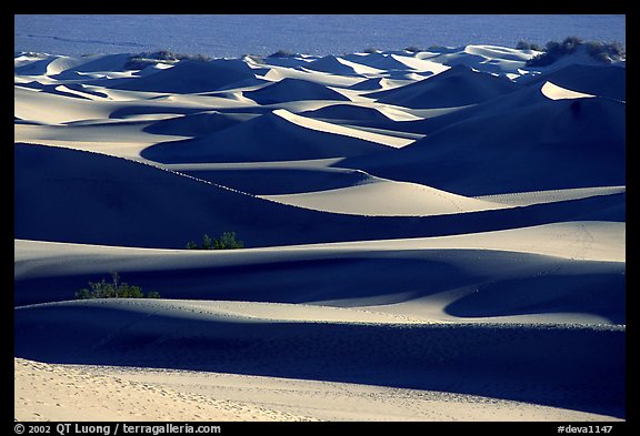 Mesquite Sand dunes, early morning. Death Valley National Park (color)