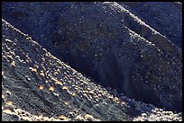 Hillsides and sagebrush. Death Valley National Park, California, USA.