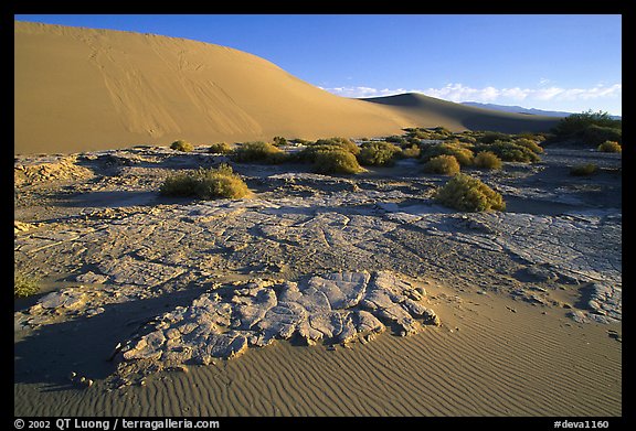 [open edition]   Mud formations in the Mesquite sand dunes, early morning. Death Valley National Park, California, USA.