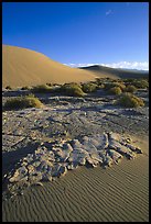 Mud formations in the Mesquite sand dunes, early morning. Death Valley National Park, California, USA.