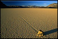 Tracks, moving rock on the Racetrack, late afternoon. Death Valley National Park, California, USA. (color)
