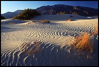 Mesquite Sand Dunes and Tucki mountain, early morning. Death Valley National Park, California, USA.