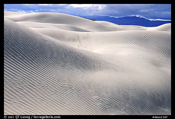 Mesquite Sand Dunes, morning. Death Valley National Park (color)