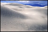 Mesquite Sand Dunes, morning. Death Valley National Park, California, USA. (color)