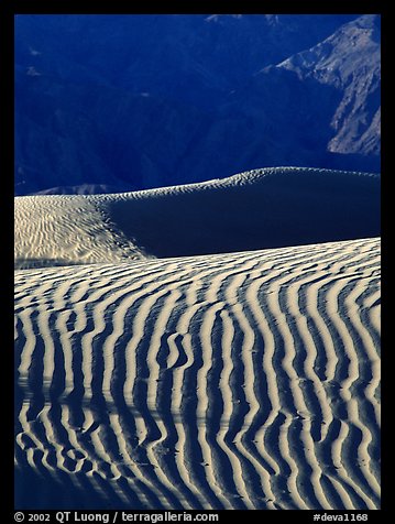 Ripples on Mesquite Sand Dunes, morning. Death Valley National Park, California, USA.