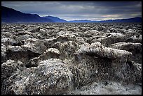 Salt formations, Devil's golf course. Death Valley National Park, California, USA. (color)