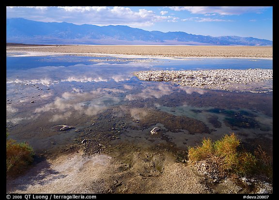 Shallow pond, reflections, and playa, Badwater. Death Valley National Park, California, USA.