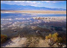 Shallow pond, reflections, and playa, Badwater. Death Valley National Park, California, USA. (color)