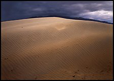 Dunes under rare stormy sky. Death Valley National Park ( color)