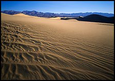 Ripples on Mesquite Dunes, early morning. Death Valley National Park ( color)