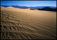 Ripples on Mesquite Dunes, early morning. Death Valley National Park, California, USA. (color)