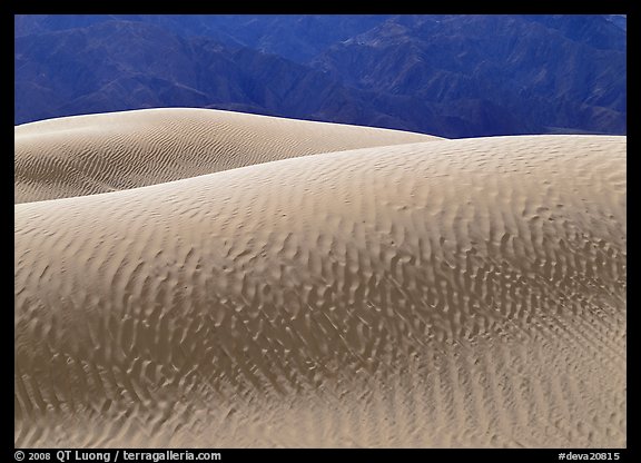 Ripples on Mesquite Sand Dunes, morning. Death Valley National Park (color)