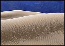 Ripples on Mesquite Sand Dunes,  morning. Death Valley National Park ( color)